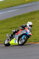 PJ-Motorsport-2019;anglesey-no-limits-trackday;anglesey-photographs;anglesey-trackday-photographs;enduro-digital-images;event-digital-images;eventdigitalimages;no-limits-trackdays;peter-wileman-photography;racing-digital-images;trac-mon;trackday-digital-images;trackday-photos;ty-croes